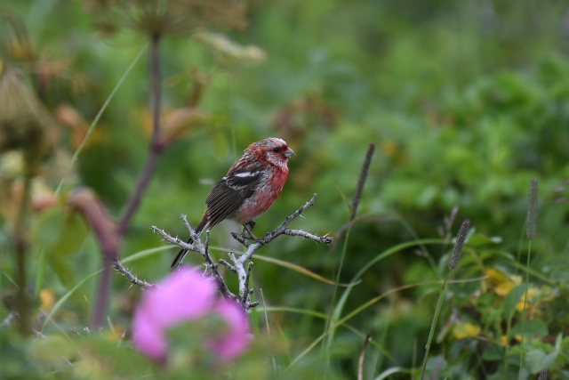 �x�j�}�V�R