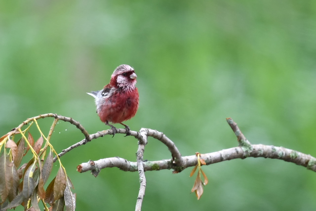 �x�j�}�V�R