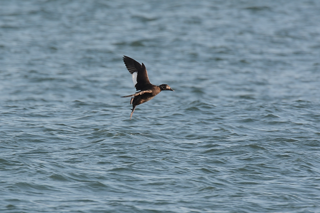 �r���[�h�L���N��