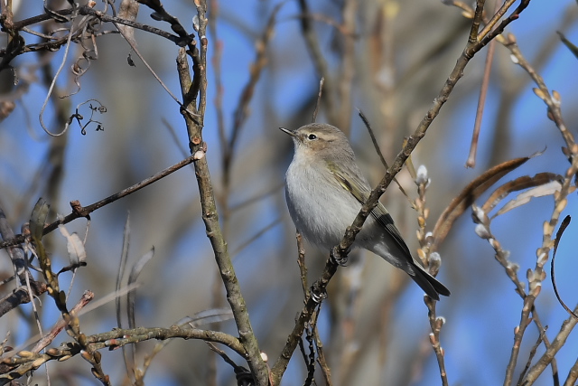 �`�t�`���t