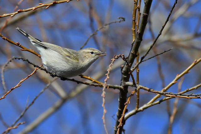 �`�t�`���t