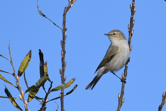 �`�t�`���t