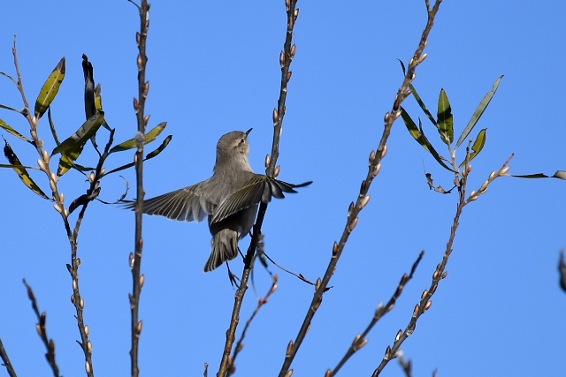 �`�t�`���t