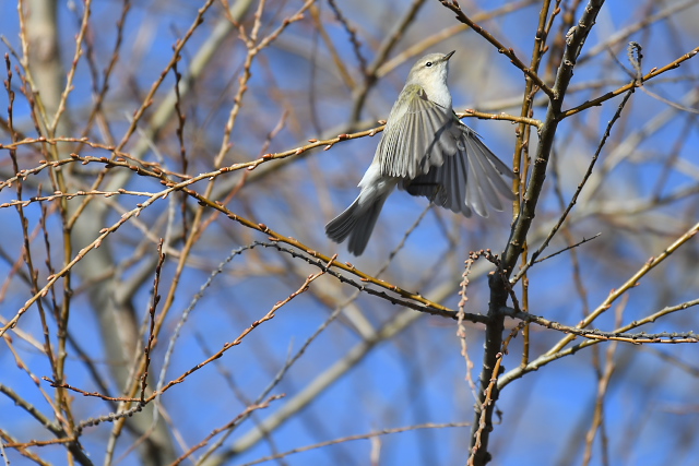 �`�t�`���t