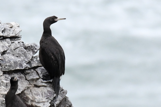 �`�V�}�E�K���X