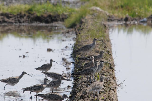 �`���E�V���N�V�M