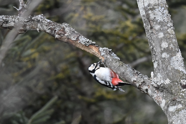 �G�]�A�J�Q��