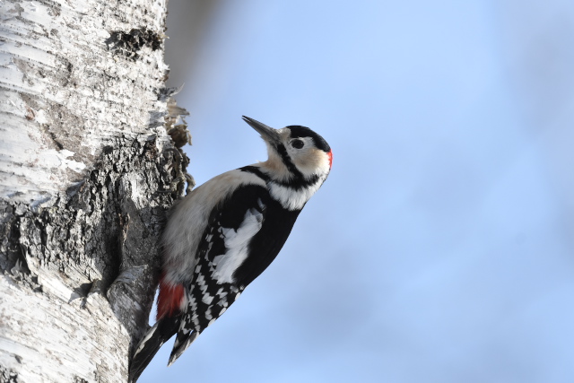 �G�]�A�J�Q��