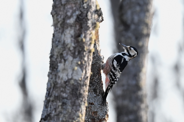 �G�]�I�I�A�J�Q��