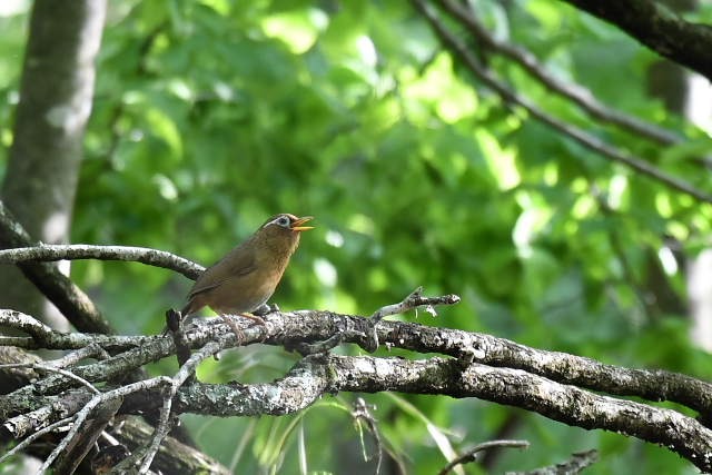 �K�r�`���E