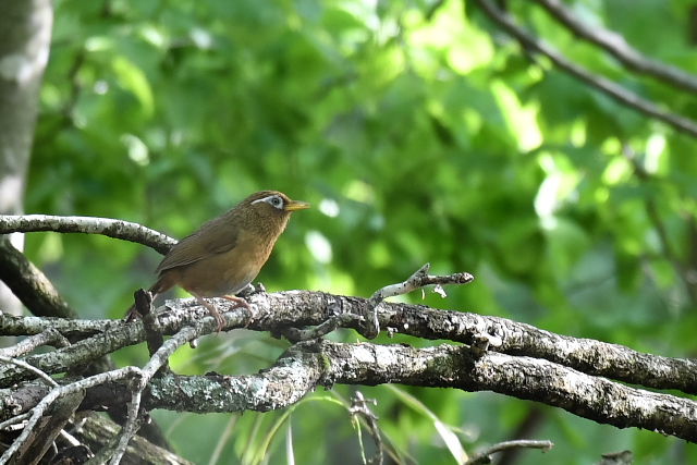 �K�r�`���E