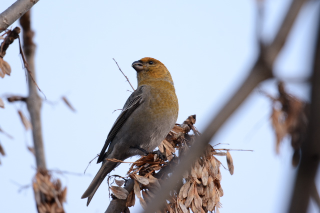 �M���U���}�V�R