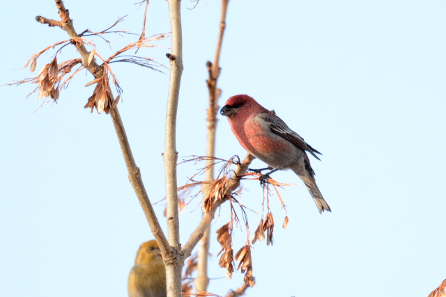 �M���U���}�V�R