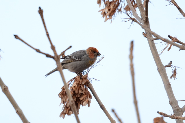 �M���U���}�V�R