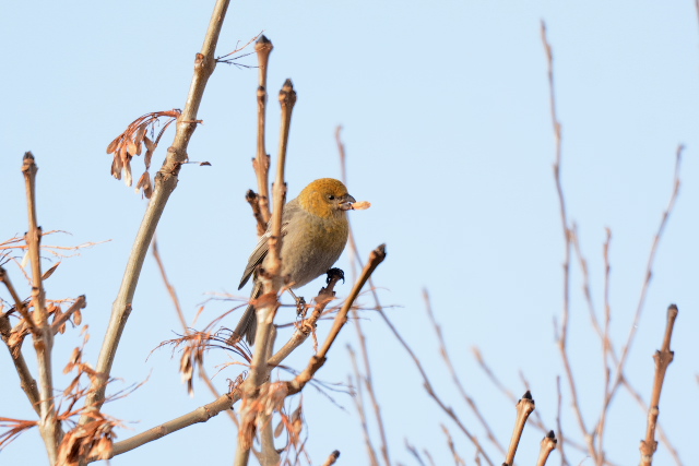 �M���U���}�V�R