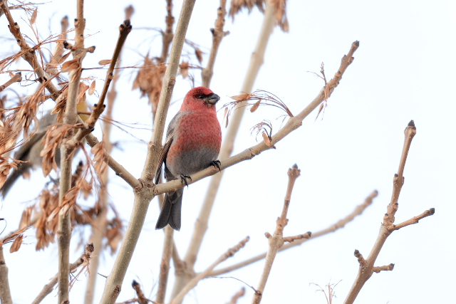 �M���U���}�V�R