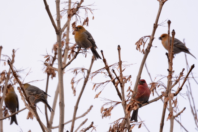 �M���U���}�V�R