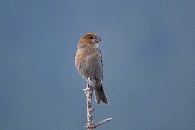 �M���U���}�V�R