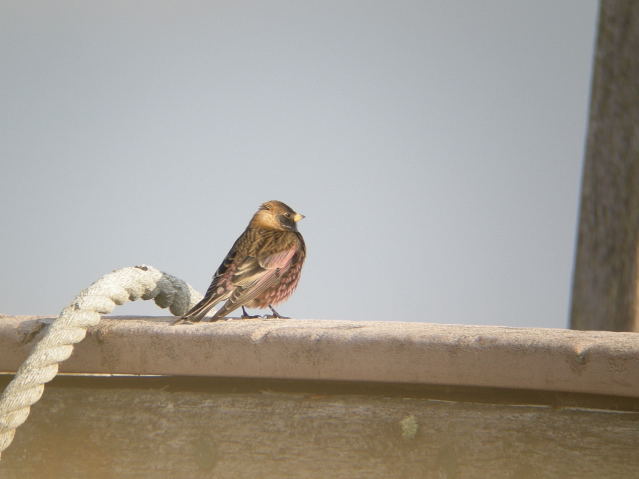 �n�M�}�V�R