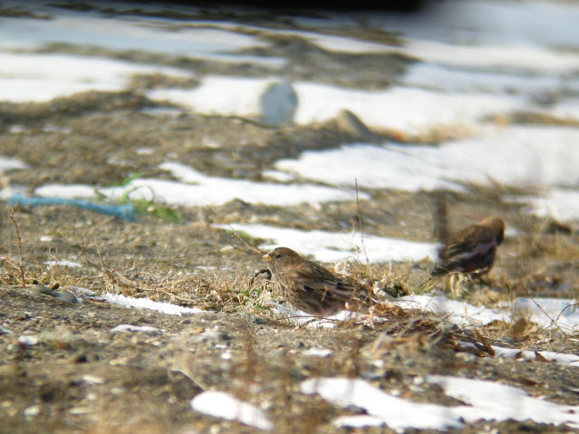 �n�M�}�V�R