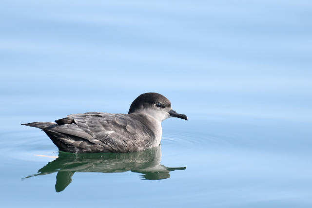 �n�V�{�\�~�Y�i�M�h��