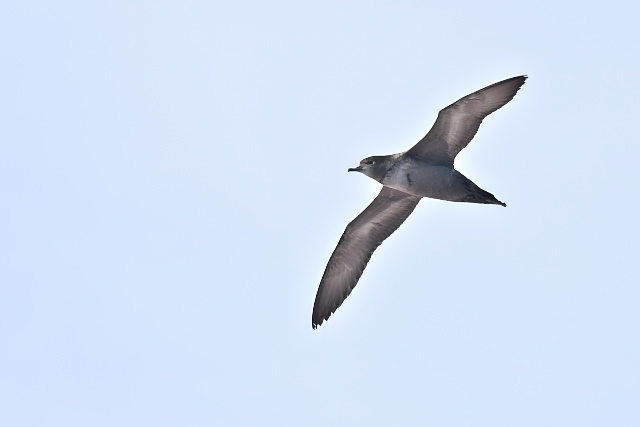 �n�V�{�\�~�Y�i�M�h��