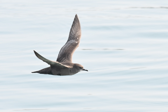 �n�V�{�\�~�Y�i�M�h��