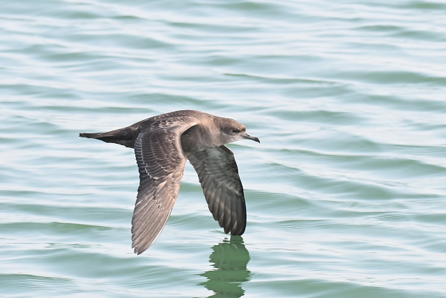 �n�V�{�\�~�Y�i�M�h��