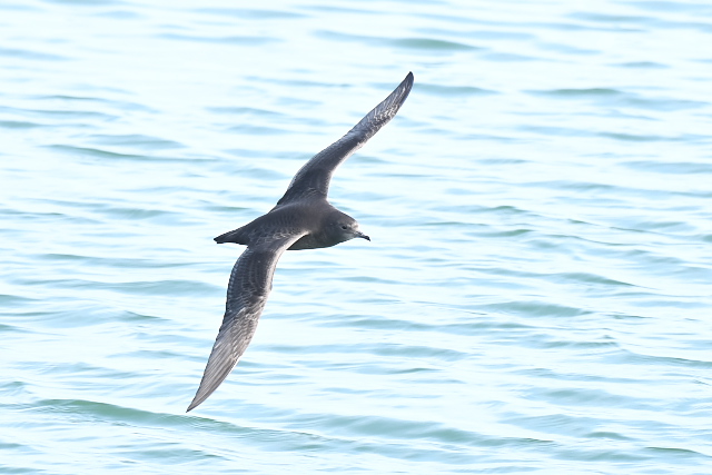 �n�V�{�\�~�Y�i�M�h��