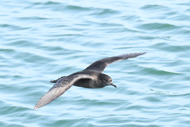 �n�V�{�\�~�Y�i�M�h��