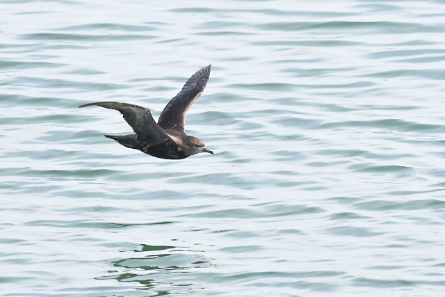 �n�V�{�\�~�Y�i�M�h��