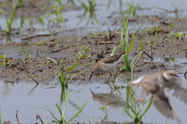 �q�o���V�M