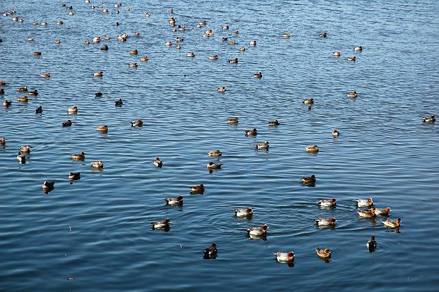 �q�h���K��