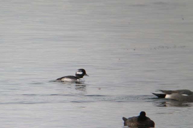 �q���n�W����