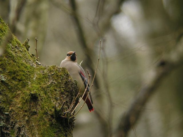 �q�����W���N