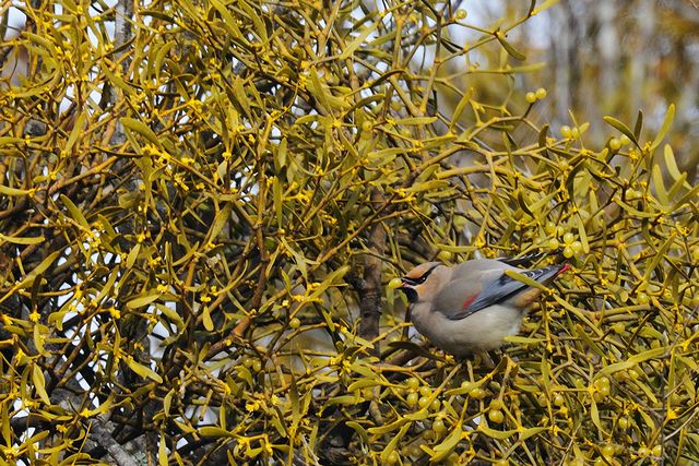 �q�����W���N