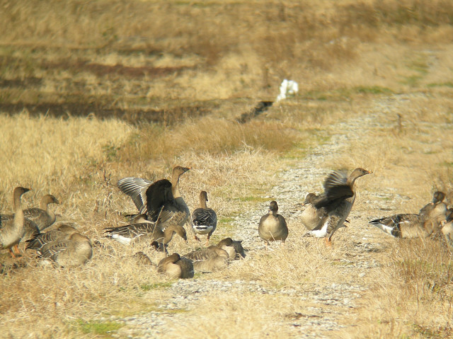 �I�I�q�V�N�C