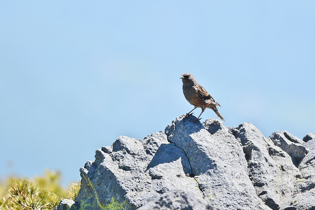 �C���q�o��