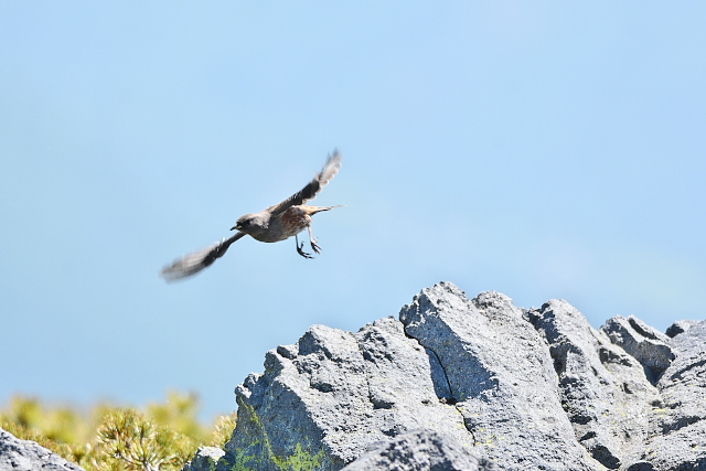 �C���q�o��