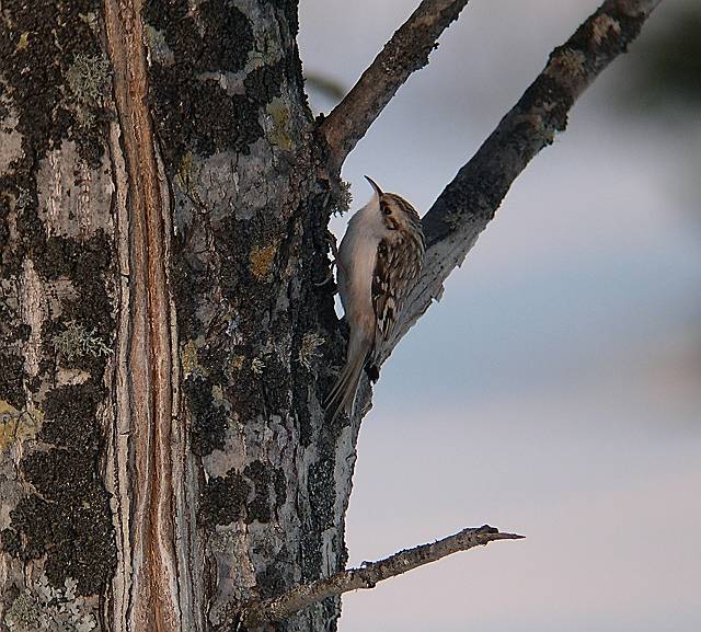 �L�^�L�o�V��