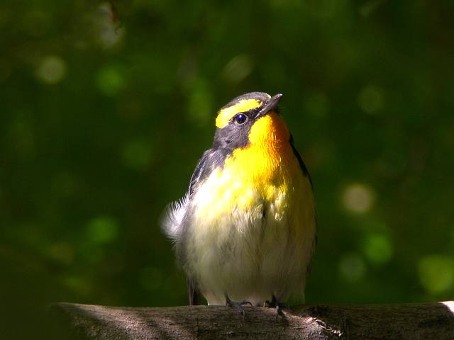 �L�r�^�L��