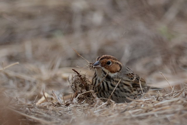 �R�z�I�A�J