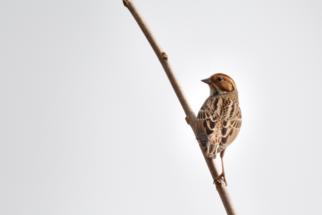 �R�z�I�A�J