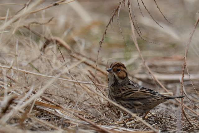 �R�z�I�A�J