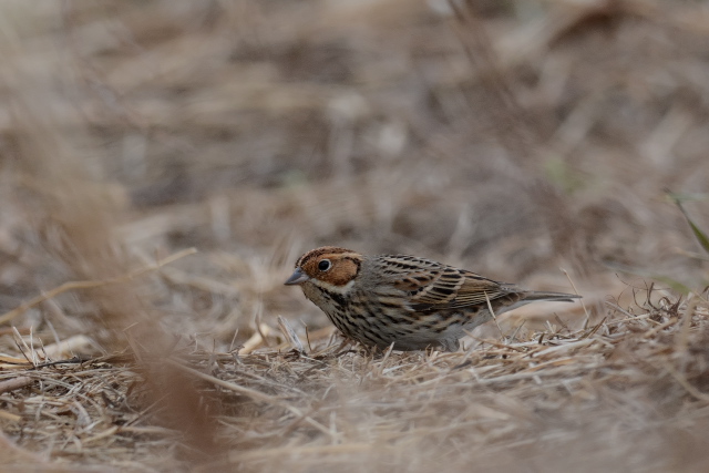 �R�z�I�A�J