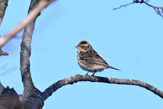 �R�z�I�A�J