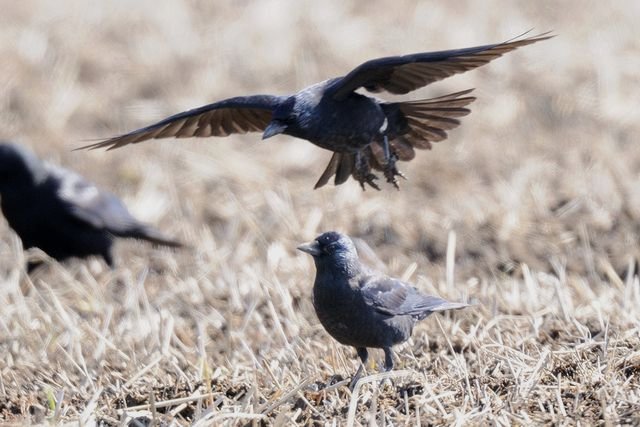 �R�N�}���K���X