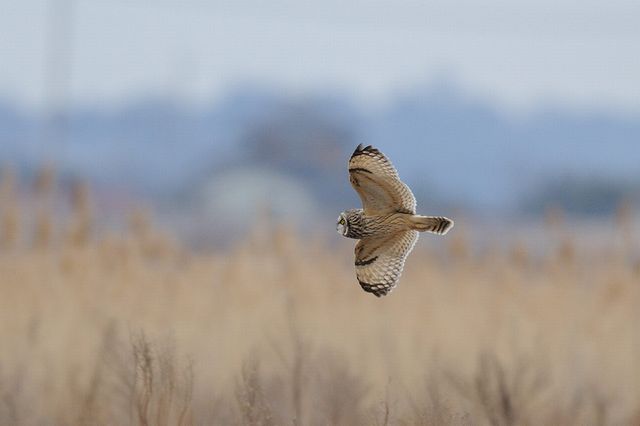 �R�~�~�Y�N