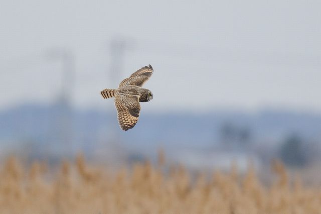 �R�~�~�Y�N