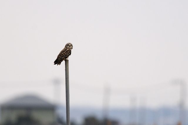 �R�~�~�Y�N